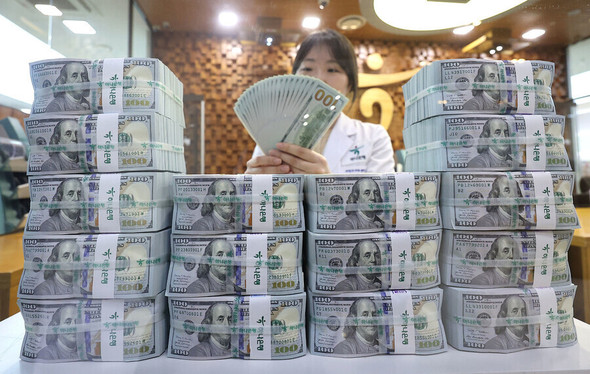 「ウォン防衛」で外貨準備高６０億ドル減…韓銀「対外ショックへの対応は十分」
