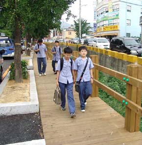 울산 북구 호계동 농소중학교 앞에　새로 생긴 나무 길을 학생들이 걸어가고 있다. 울산 북구 제공