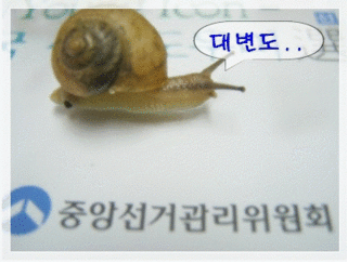 전북 고창군 선관위.