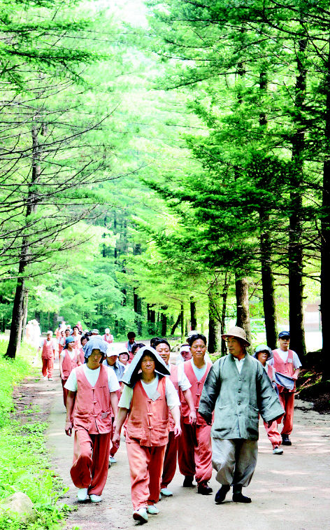 <b>마음의 때 씻는 ‘산사 휴가’</b> 본격적인 휴가철을 맞아 마음의 때를 씻고 건강한 시간을 보내려는 사람들이 늘고 있다. 최근 강원도 평창군 오대산 월정사에서 절 체험에 나선 사람들이 스님과 얘기를 나누며 전나무 숲길을 걷고 있다. 강재훈 기자 <a href=mailto:khan@hani.co.kr>khan@hani.co.kr</a>