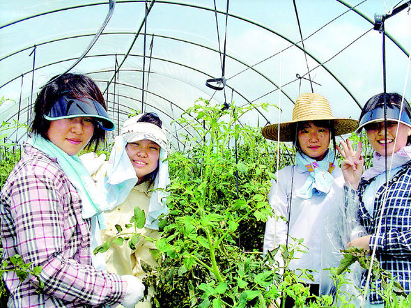 전북 익산 이리여고 학생들이 자발적으로 농촌봉사활동에 참여하고 있다. 사진은 지난해 농활 현장에서 학생들의 모습. 이리여고 제공