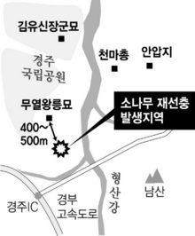 경주 ‘소나무 에이즈’ 비상-소나무 재선충 발생지역