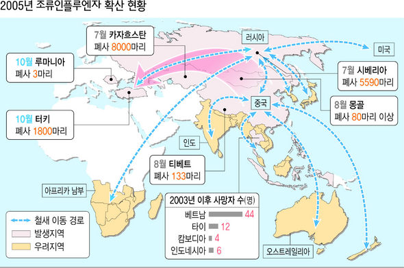 2005년 조류 인플루엔자 확산 현황
