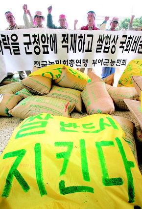 17일 전국농민회총연맹 부여군농민회 회원들이 충남 부여군청 앞에서 국회 쌀협상 비준 반대와 정부의 공공비축제 폐지를 촉구하며 갓 수확한 벼로 군청 입구를 가로막은 채 야적시위를 벌이고 있다. 부여/연합뉴스