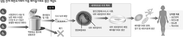 냉동 잔여 배반포기배아 이용 배아줄기세포 생산 개념도