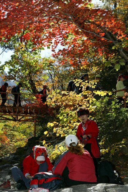 붉게 타는 천불동 계곡 국립공원 설악산의 단풍이 절정을 이루고 있는 가운데 휴일 산행에 나선 등산객들이 단풍이 불타는 천불동 계곡을 지나고 있다. (속초=연합뉴스)