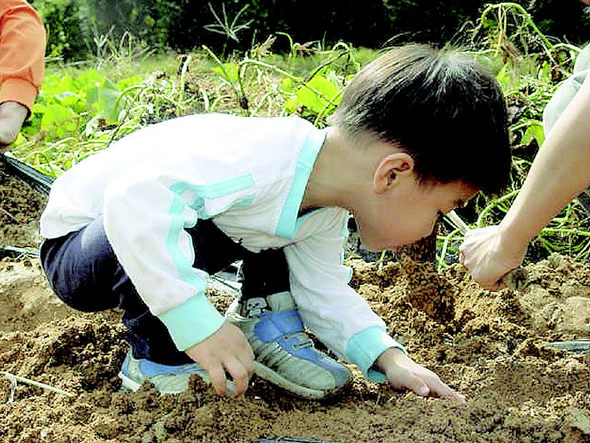 수확 한 줌 추억 두 줌-가족끼리 이웃끼리 떠나요, 가을 농촌체험