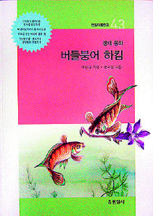 버들붕어 하킴