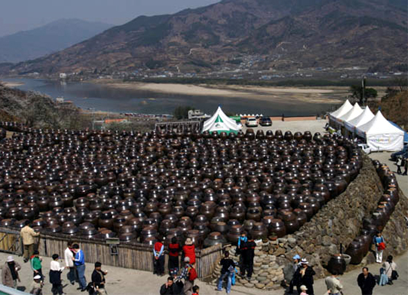 영화 <북경반점>이 촬영된 청매실농원 장독대 뒤로 섬진강이 보인다. 필진네트워크 김정수