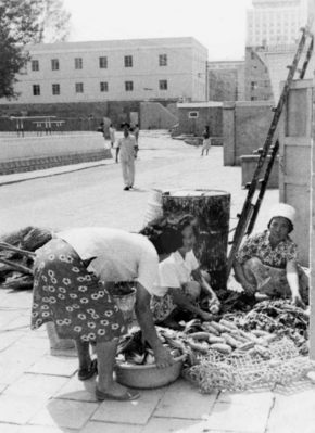 90년대부터 북한의 ‘장마당’은 주민들의 생존과 직결된 삶의 현장이 됐다. 이 공간을 중심으로 확산된 시장적 질서는 ‘도시정치’를 중심으로 한 북한의 체제 안정성을 크게 뒤흔들고 있다. 사진은 북한 주민이 한 도시 아파트 단지 빈터에 자리를 펴고 텃밭에서 가꾼 채소를 파는 모습. <한겨레> 자료사진.