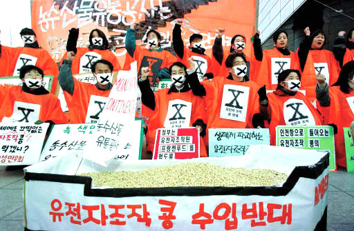 환경단체들은 한-미자유무역협정이 유전자 조작 식품 표시제 철폐를 가져와 식품 안전을 위협하게 될 것에 우려를 표시하고 있다. 유전자 조작 콩 수입에 반대해 침묵시위를 벌이는 환경단체 회원들. <한겨레 자료사진>