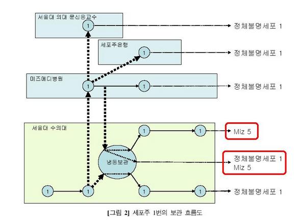 세포주 1번의 보관 흐름도.