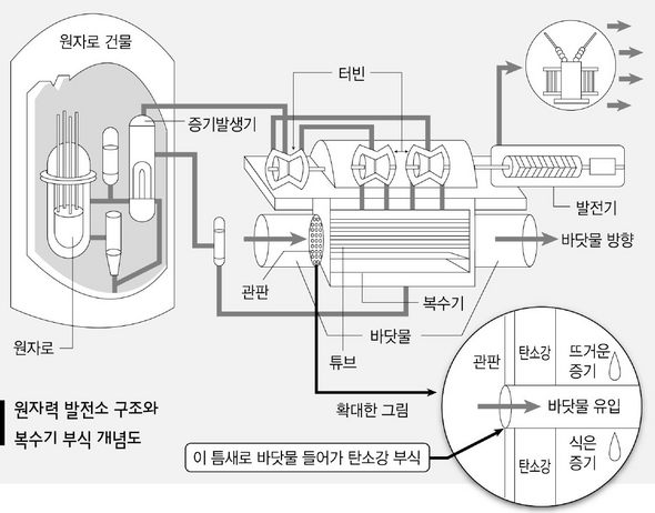 원자력 발전소 구조와 복수기 부식 개념도