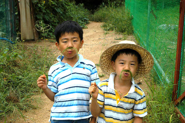 바랭이로 우산을, 강아지풀로 수염도 만들어 놀았다.