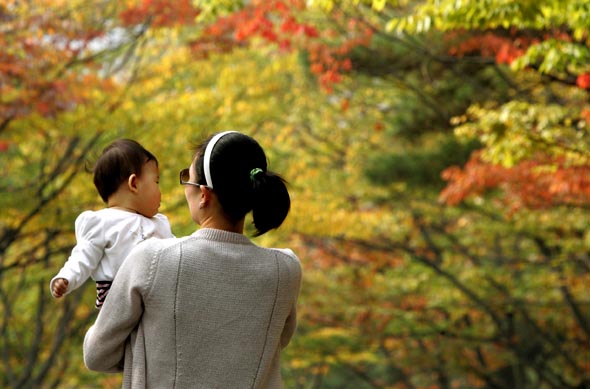 경기도 과천시 서울대공원에서 15일 오후 소풍나온 아가와 어머니가 곱게 물든 단풍나무 아래를 걷고 있다. 과천/이정아 기자 leej@hani.co.kr