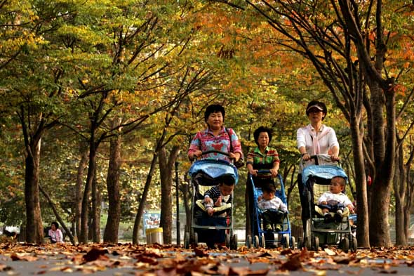 경기도 과천시 서울대공원에서 15일 오후 소풍나온 시민들이 곱게 물든 단풍나무 아래를 걷고 있다. 과천/이정아 기자 leej@hani.co.kr