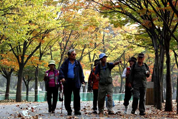 경기도 과천시 서울대공원에서 15일 오후 시민들이 곱게 물든 단풍나무 아래를 걷고 있다. 과천/이정아 기자 leej@hani.co.kr