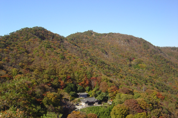 단풍진 승달산 풍경. 무안군청 제공