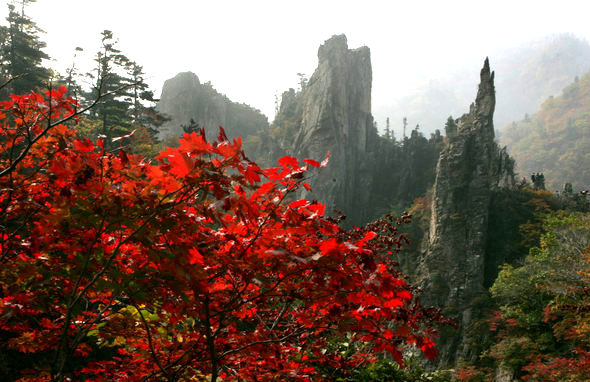 지난 15일 둘러 본 금강산 만물상 코스 삼선암 모습. 북한 핵실험 뒤 기로에 선 금강산 관광사업의 운명을 아는지 모르는지 여전히 붉은 단풍을 뽐내고 있다. 금강산/강재훈 선임기자