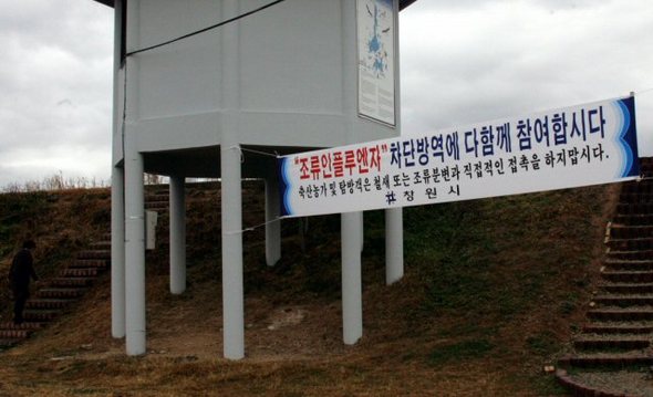 조류인플루엔자(AI) 확산에 대한 우려가 전국적으로 퍼진 27일 겨울철새 도래지로 유명한 경남 창원시 대산면 주남저수지에 AI확산을 경계하는 플래카드가 붙어있다.  2006.11.27 (창원=연합뉴스)