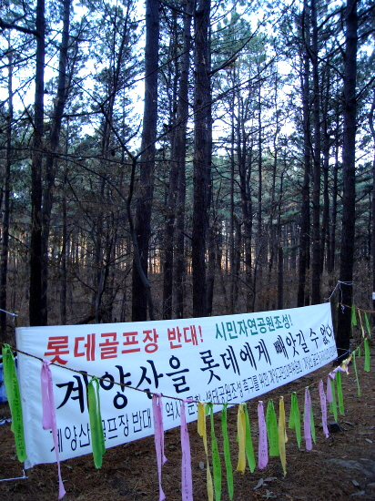 솔밭에는 골프장을 반대한다는 금줄이 쳐져있다.