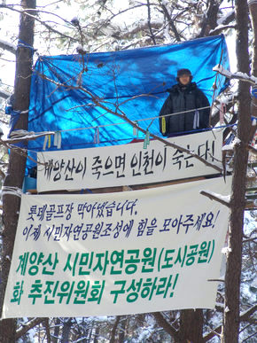 18일 오전 눈으로 뒤덮인 인천시 계양구 목상동 계양산 자락 12m 높이 나무 위에서 인천녹색연합 활동가 신정은씨가 시위를 벌이고 있다. 사진 인천녹색연합 제공