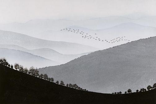 김준권 <산-2> 수묵목판 58.5 x 39cm, 2004년 