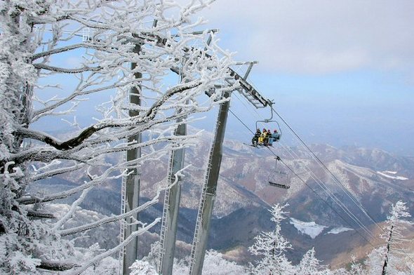 강원도 평창군 발왕산 정상(해발 1천458m)에 활짝 핀 눈꽃이 스키장과 어울려 장관을 연출하고 있다 (평창=연합뉴스) 강원도 평창군 발왕산 정상(해발 1천458m)에 활짝 핀 눈꽃이 스키장과 어울려 장관을 연출하고 있다 (평창=연합뉴스)