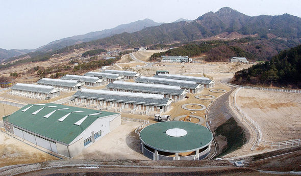 2004년 7월 전북 장수군 명덕리 일대 46만평에 착공한 경주마 육성목장이 완공돼 오는 3월 중순 개장을 목표로 마무리 단장을 하고 있다. 장수/연합뉴스