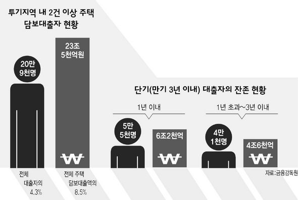 투기지역 내 2건 이상 주택 담보대출자 현황