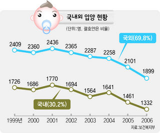 국내 입양 현황