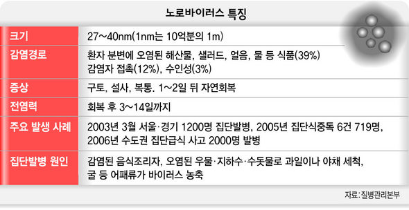 노로바이러스 특징
