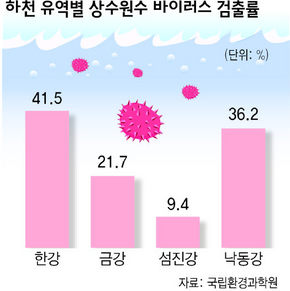 하천 유역별 상수원수 바이러스 검출률