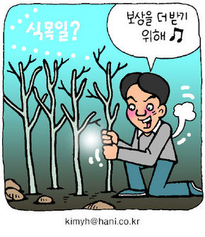 국가 보상비 타려고 묘목 심고 해녀 등록?