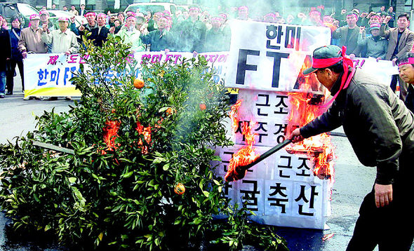 한-미　자유무역협정(FTA)　협상　타결　소식을　접한　제주도민운동본부　회원들이　2일　오후　제주도청　앞에서　감귤나무를　불　태우고　있다.　제주/연합뉴스