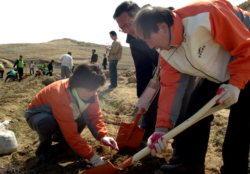 민주노동당의 노회찬, 심상정, 단병호 의원이 식목일을 하루 앞둔 4일 오전 개성공단 외곽 봉동산 종묘장에서 대추나무를 심고 있다