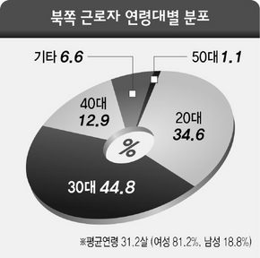 북쪽 근로자 연령대별 분포