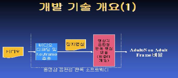 ‘야동’ 잡는 판독기술 개념도