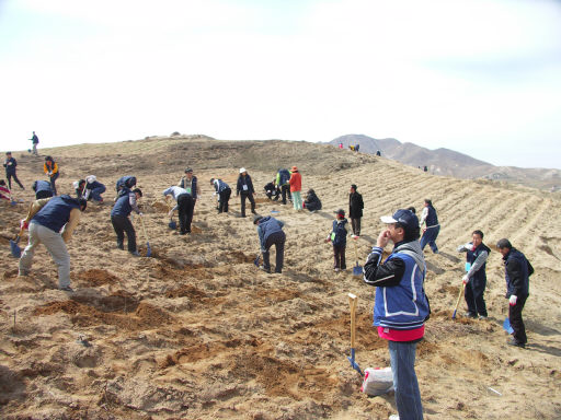 6일 오전 북한 개성시 봉동지구에서 사단법인 ‘따뜻한 한반도 사랑의 연탄나눔 운동본부’ 회원들이 나무 한그루 없는 빈 들판에 나무를 심고 있다.