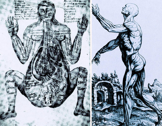 중세 후반 별자리를 중심으로 그린 해부도(왼쪽)와 해부학의 창시자 베살리우스가 그린 근육 해부도(오른쪽). 베살리우스는 관찰에 기초해 사실적 해부도를 그린 최초의 르네상스인이다. 사진 휴머니스트 제공