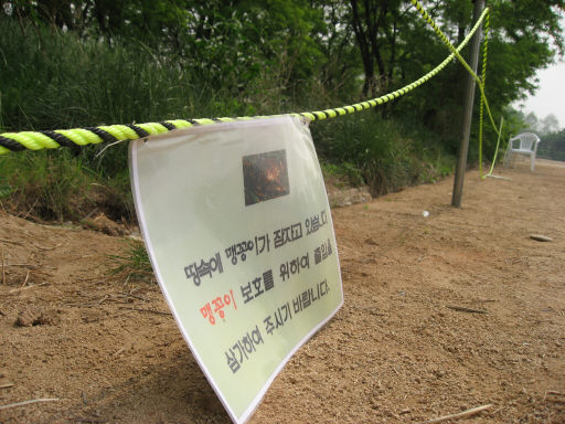 ‘하이 서울 페스티벌’이 끝난 뒤인 8일 오전 찾은 노들섬. 맹꽁이 보호를 위해 쳐둔 줄과 출입금지 안내문이 축 늘어져 있다. 이완 기자