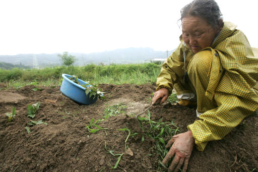 김태성 기자 ‘전라도엄니’ 사진전
