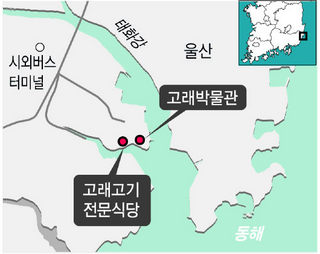 고래 박물관 / 고래고기 전문식당