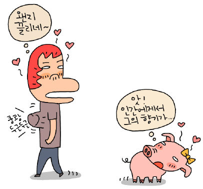 ‘돼지심장 이식 받으면 예전과 같은 나일까’