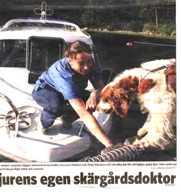2007년 5월 31일자 《Stockholm City》. 13 주 동안 배 타고 섬들을 다니면서 병든 개들을 치료해 준다고 하는군요. 스웨덴은 여름에 특히 사람들이 밖으로 나오기 때문에 개들도 많이 나옵니다. ⓒ 한겨레 블로그 jenovia 2007년 5월 31일자 《Stockholm City》. 13 주 동안 배 타고 섬들을 다니면서 병든 개들을 치료해 준다고 하는군요. 스웨덴은 여름에 특히 사람들이 밖으로 나오기 때문에 개들도 많이 나옵니다. ⓒ 한겨레 블로그 jenovia