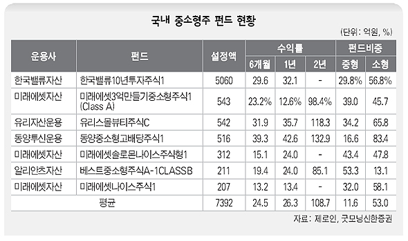 국내 중소형주 펀드 현황