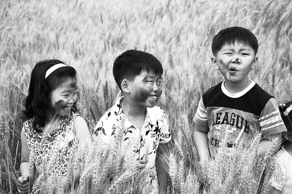 공주 우성천변 민병길씨네 밀밭에서 ‘밀띠기’를 하고 있는 아이들.