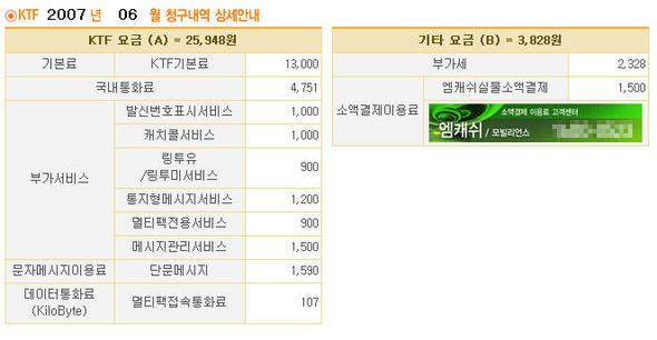 한 이용자의 6월치 휴대전화 요금 고지서. 소액결제 총액만 있을 뿐, 구체적 이용내역이 드러나 있지 않다.