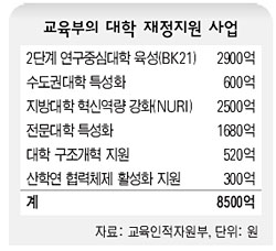 교육부의 대학 재정지원 사업