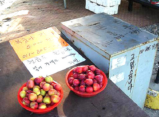 ‘양심 과일가게’